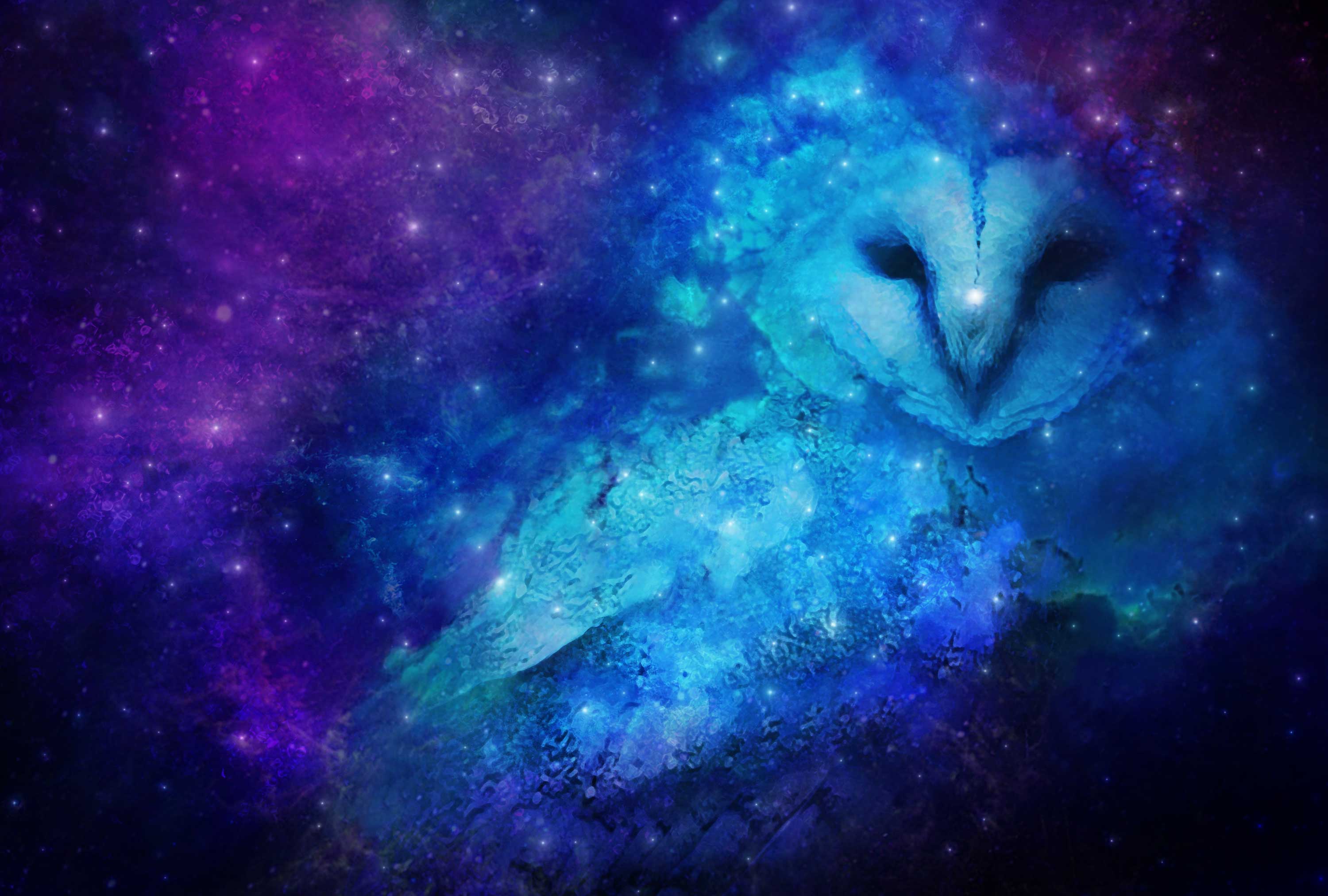 Cosmic Owl.